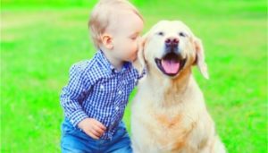 Are Labradors Good With Children?