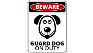 Are Labradors Good Guard Dogs?﻿
