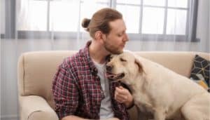 ﻿21 ways labradors show affection